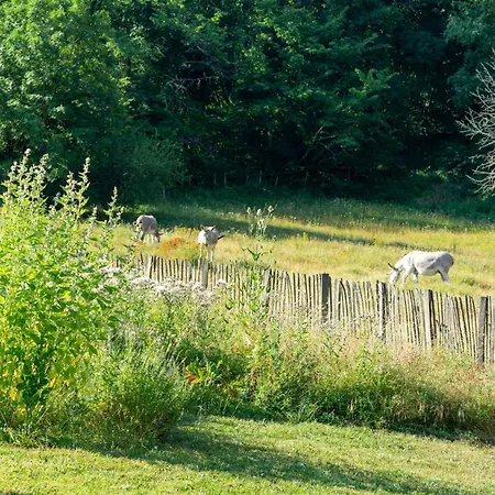 Bed & Breakfast La Santon D'hotes Vif